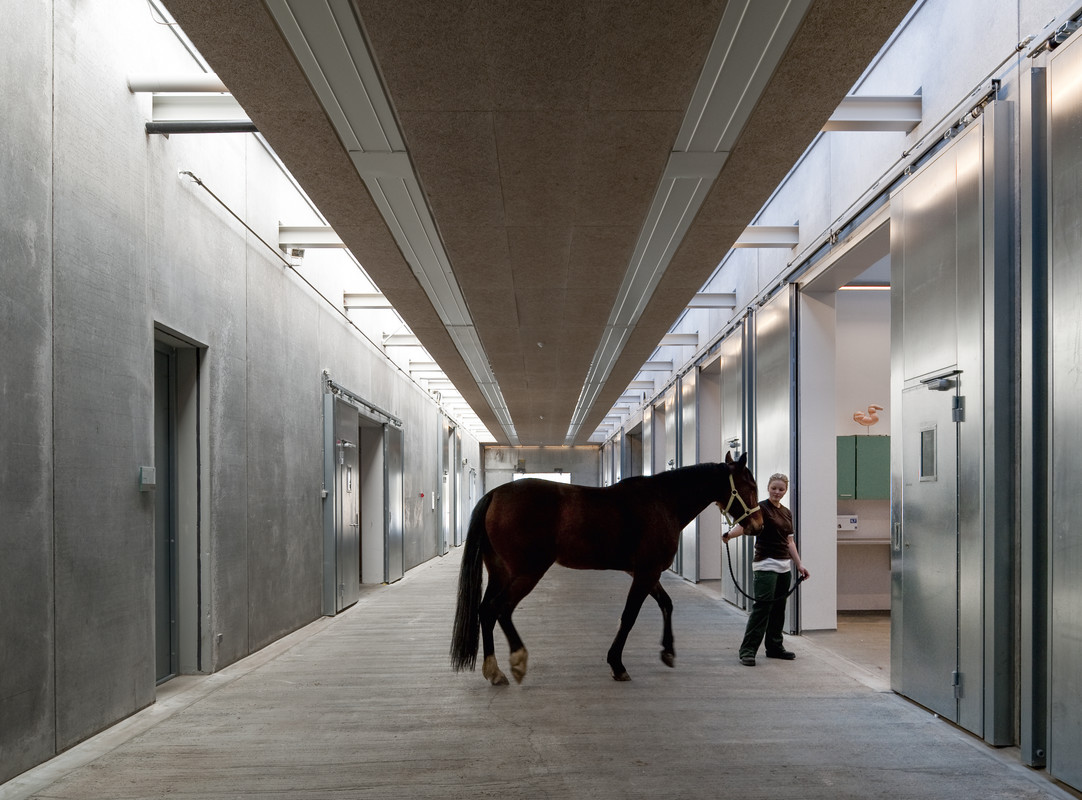 Large Animal Teaching Hospital